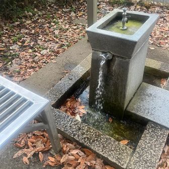 ペットボトル忘れたので、ここでたっぷり水を飲む