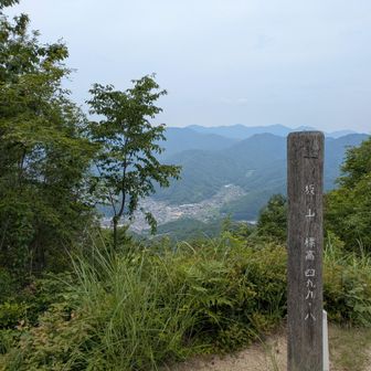 ようやく眺望