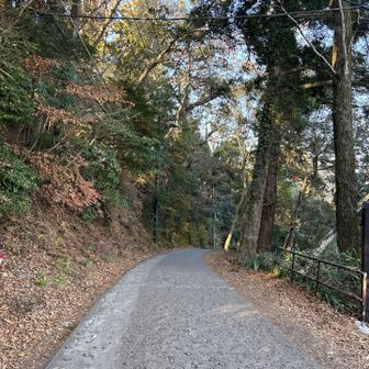 舗装路下る
足痛くなりそ‥