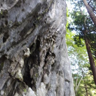 そしてそそり立つ西岳の根本部分を巻き巻きしながら日陰歩きです

ちびちび飲んでた水分を一気に飲んじゃった