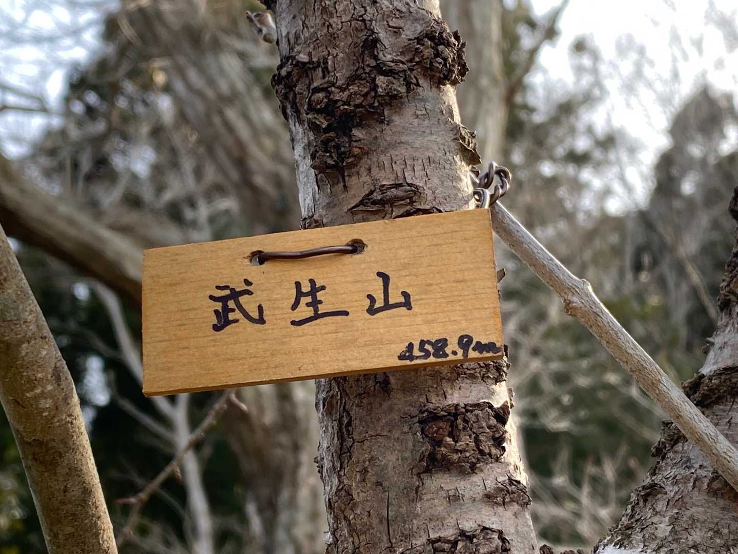道路からすぐの武生山到着
海さんプレート