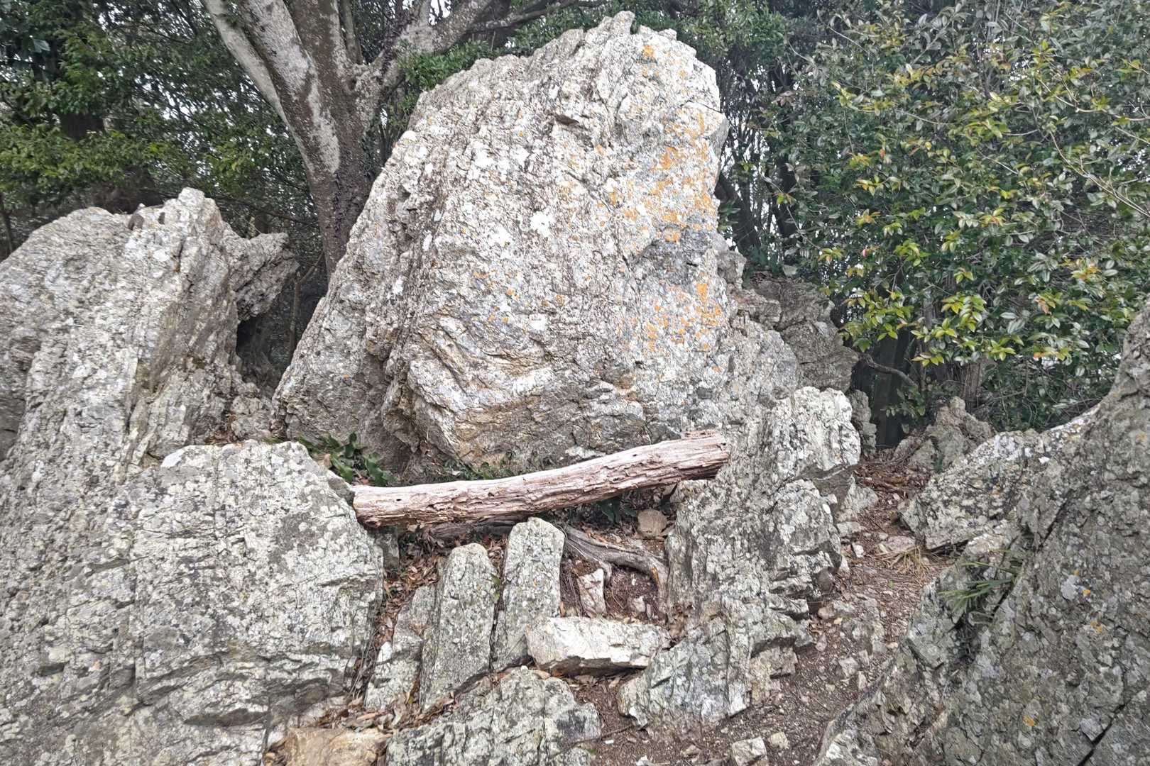 ここも楽しみにしてた仏岩。
しかし、普通の岩にしか見えない💦

たまたま、いらっしゃったハイカーさんに聞いたけど、その方たちも初めてで、みんなで首をかしげてました🤔🤔🤔