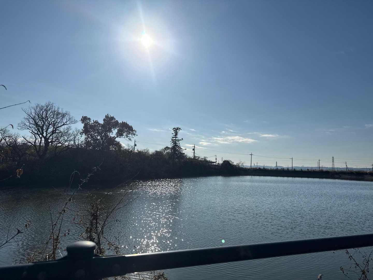 いいお天気☀️.°