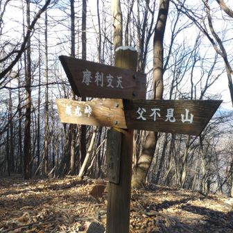 長久保の頭から鐘撞峠まで尾根を下りていきます。道標には「摩利支天」とあります。今回父不見山について調べていて、楽しみにしていた摩利支天の祠。摩利支天は陽炎(かげろう)を神格化したものと今回調べて初めて知りました。目に見えないので昔の忍者や武将に信仰されていたようです。