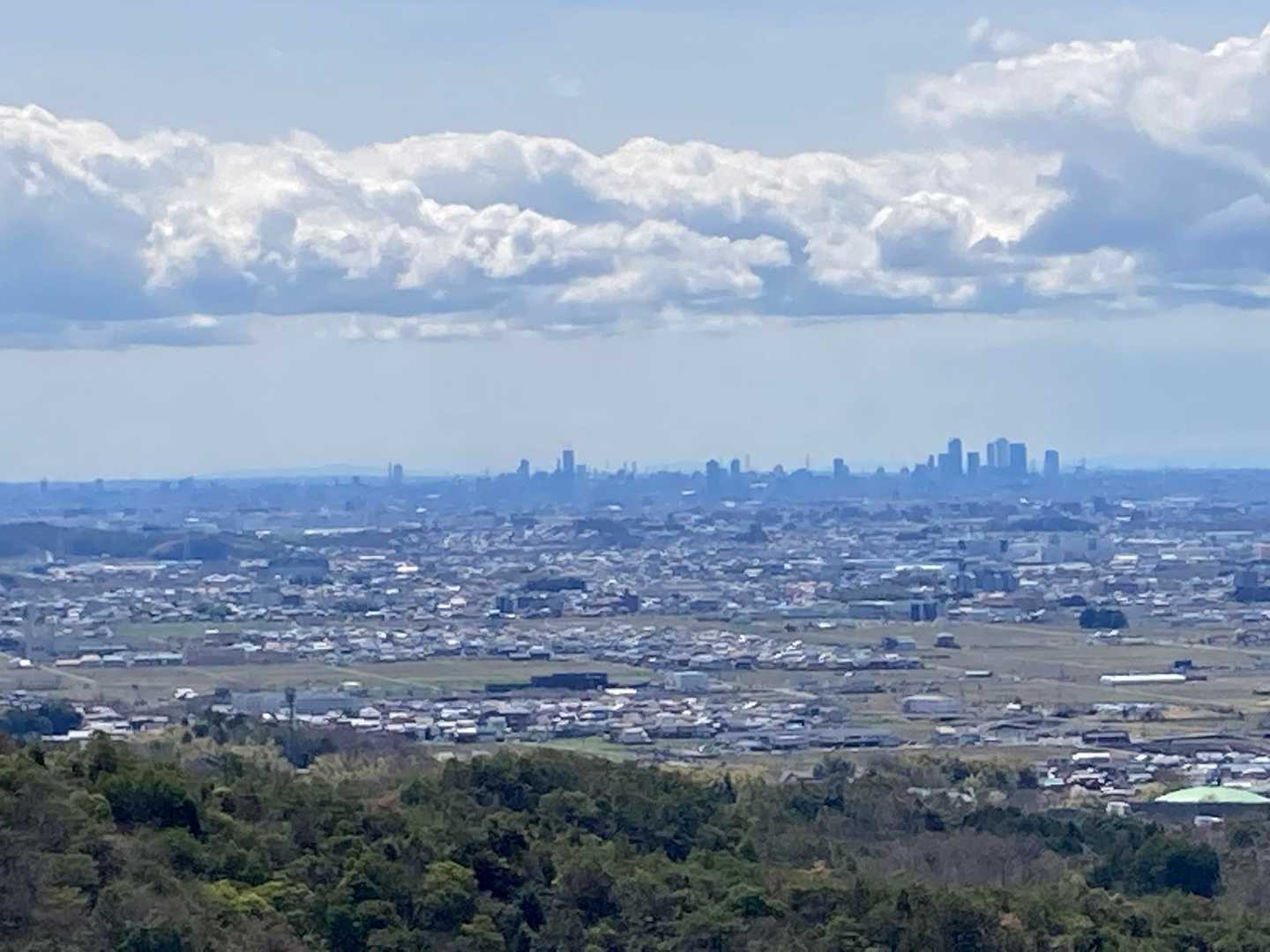 ここからも名古屋ビル群が見えました