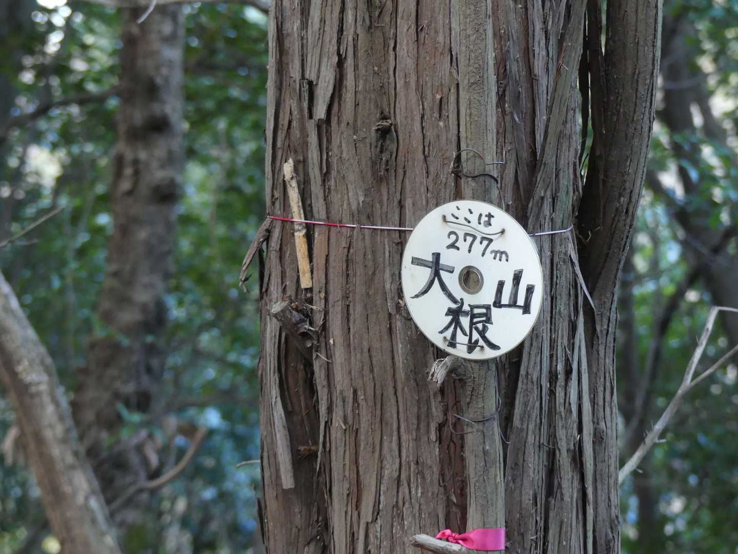 🔺大根山(愛宕山)