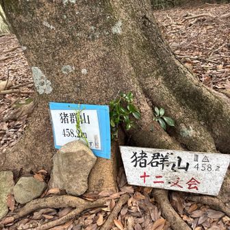 山頂、、、、、あっという間に着きました♪