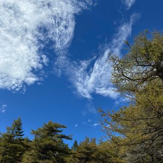 秋です！最近の山行天気悪かったから嬉しい☺️見晴岳へ向かいます