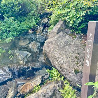 大凸の水場でクールダウン⤵️
水も冷たくて美味しかったです😋