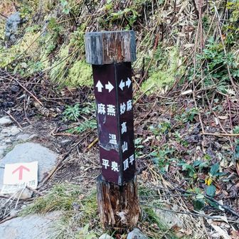 分岐
←左を行きます