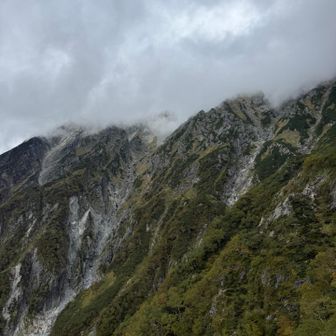 カモシカの立場からの風景
西穂も頭だけ雲の中