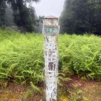 妙見山
足裏のせいで前半のトレイルで頑張れない😭
気持ちよいトレイルなのに気持ちよく走れない😭

ロキソニンを投入😑