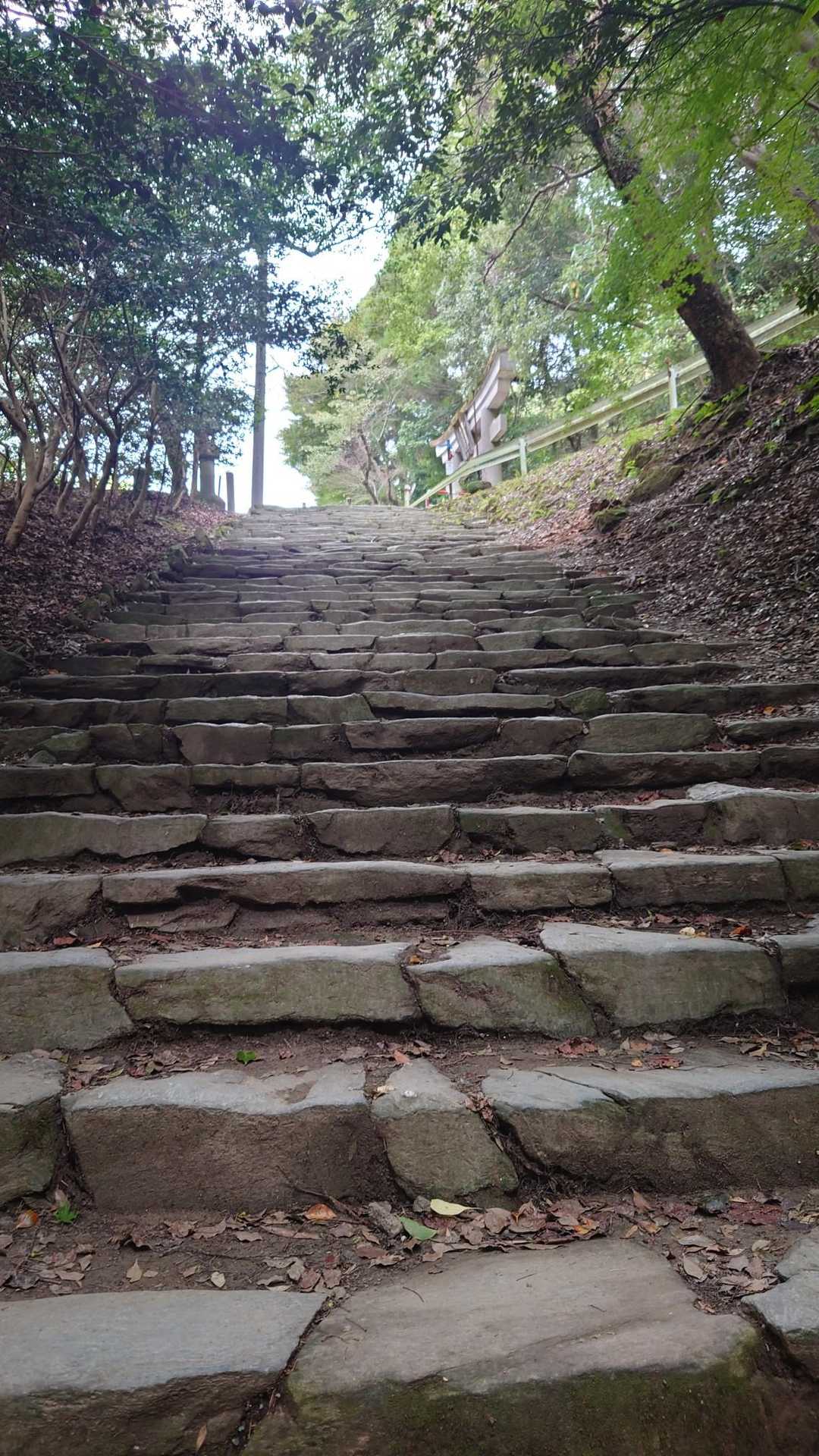 えー(・_・;)石段