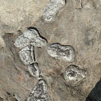 何か意味があるのかなぁ？