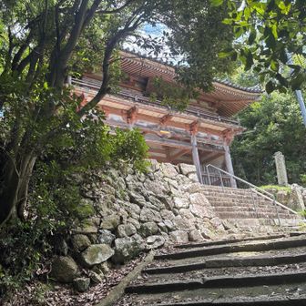 朝日山の山門