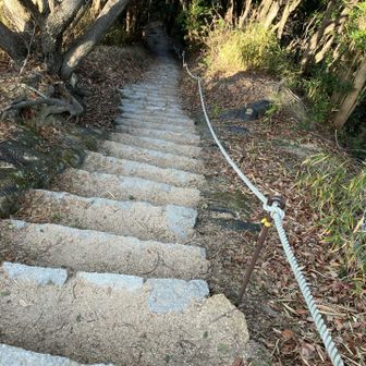 おらが茶屋から戻ってくる階段登りきついし😓思わず振り返る