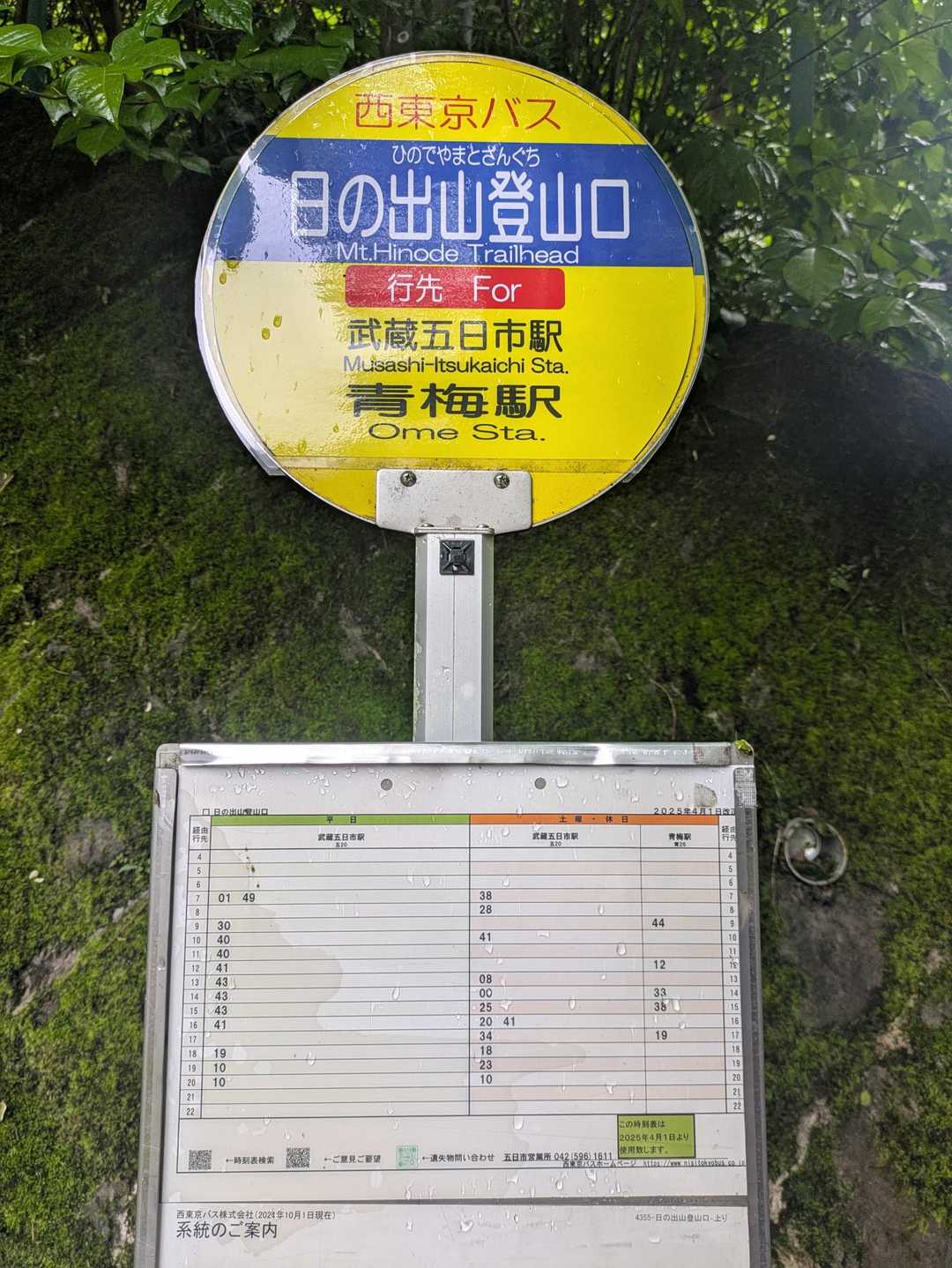 目的地を変更

霧雨予報もありお手頃な
日の出山へ

下山し
つるつる温泉へ
