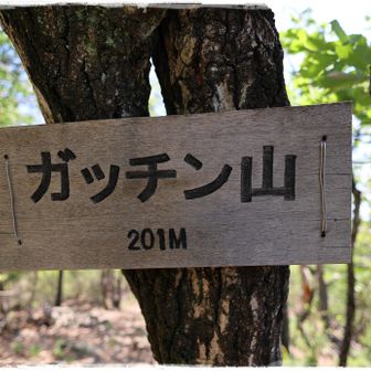 本日最後の24座目はガッチン山！ 201m！