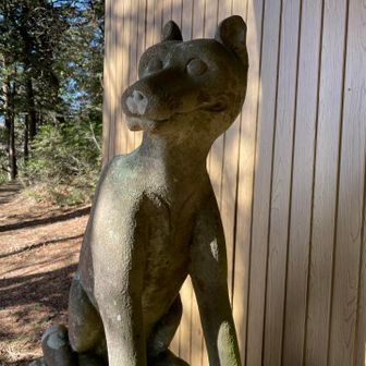 こっちも独特。なんかかわいい😍