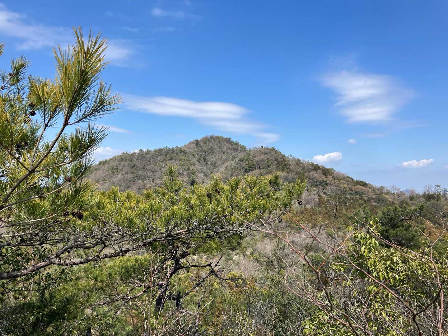鶏冠山