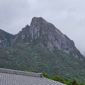 けん
