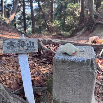 本日最後のピーク✨三角点も一緒に✨