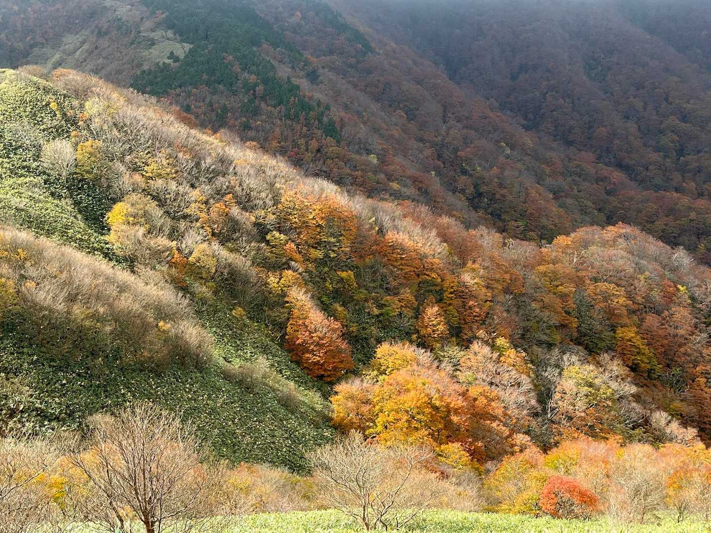 犬挾峠-下蒜山-中蒜山 往復コースの写真