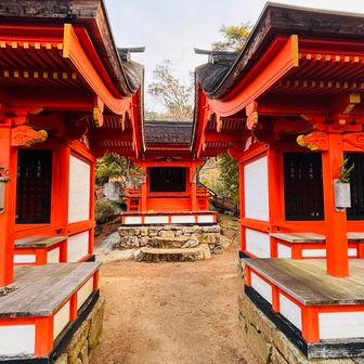 奥宮💁‍♂️
三女神それぞれのお社🙏🙏🙏
その裏に…