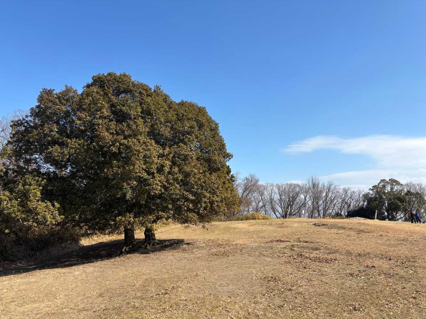 急な階段💦を登りきったらひろ〜い広場。