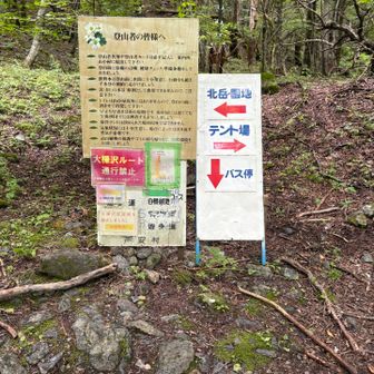 無事降りてきた〜