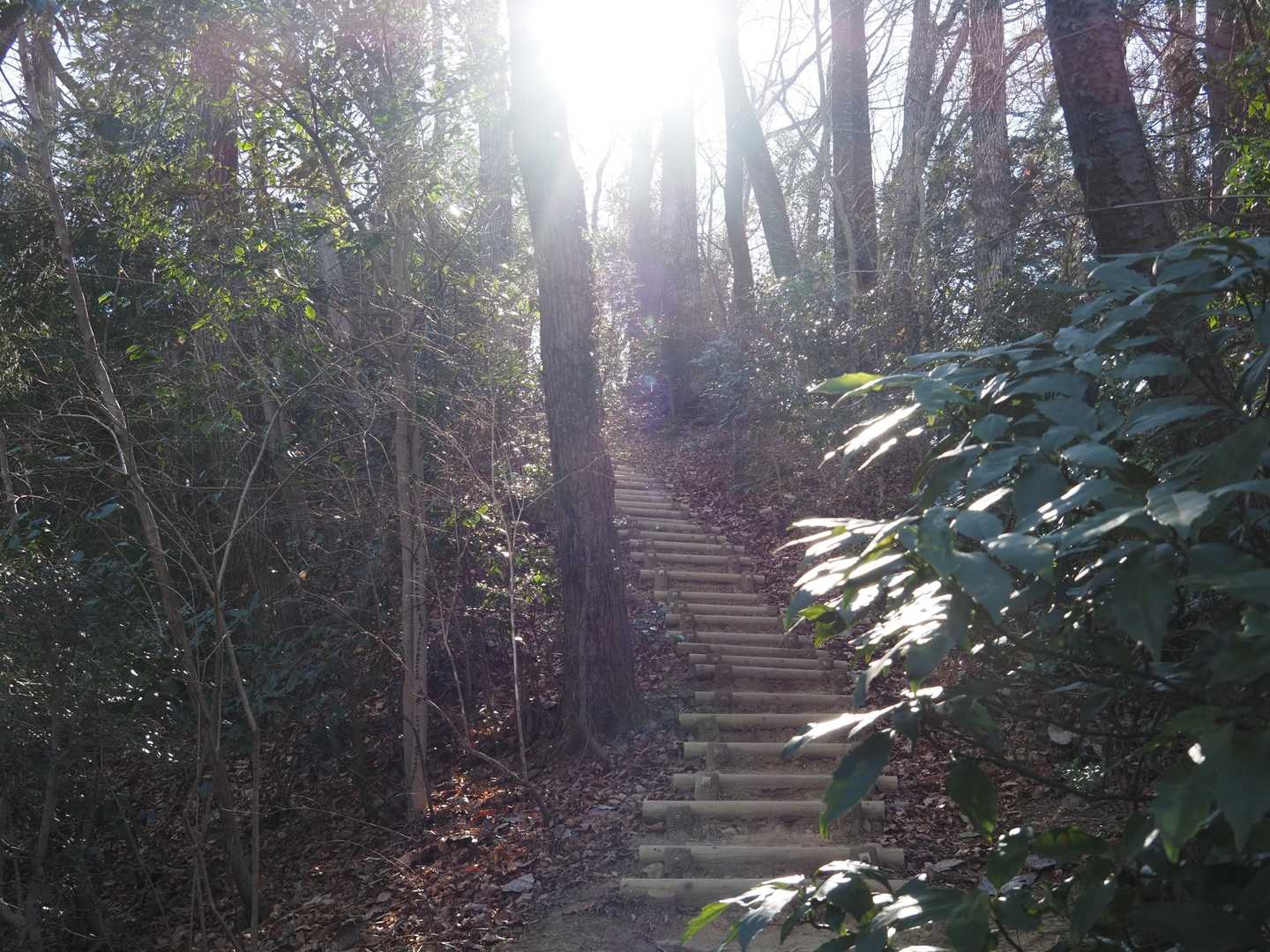 宮ノ平駅-稲荷神社前バス停-天狗岩自然歩道入口-要害山-赤 縦走コースの写真
