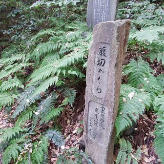 腹切りやぐらまで来ました。