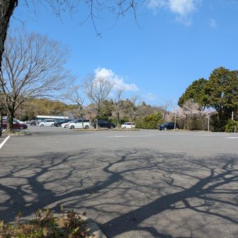 広い駐車場、綺麗なトイレ有