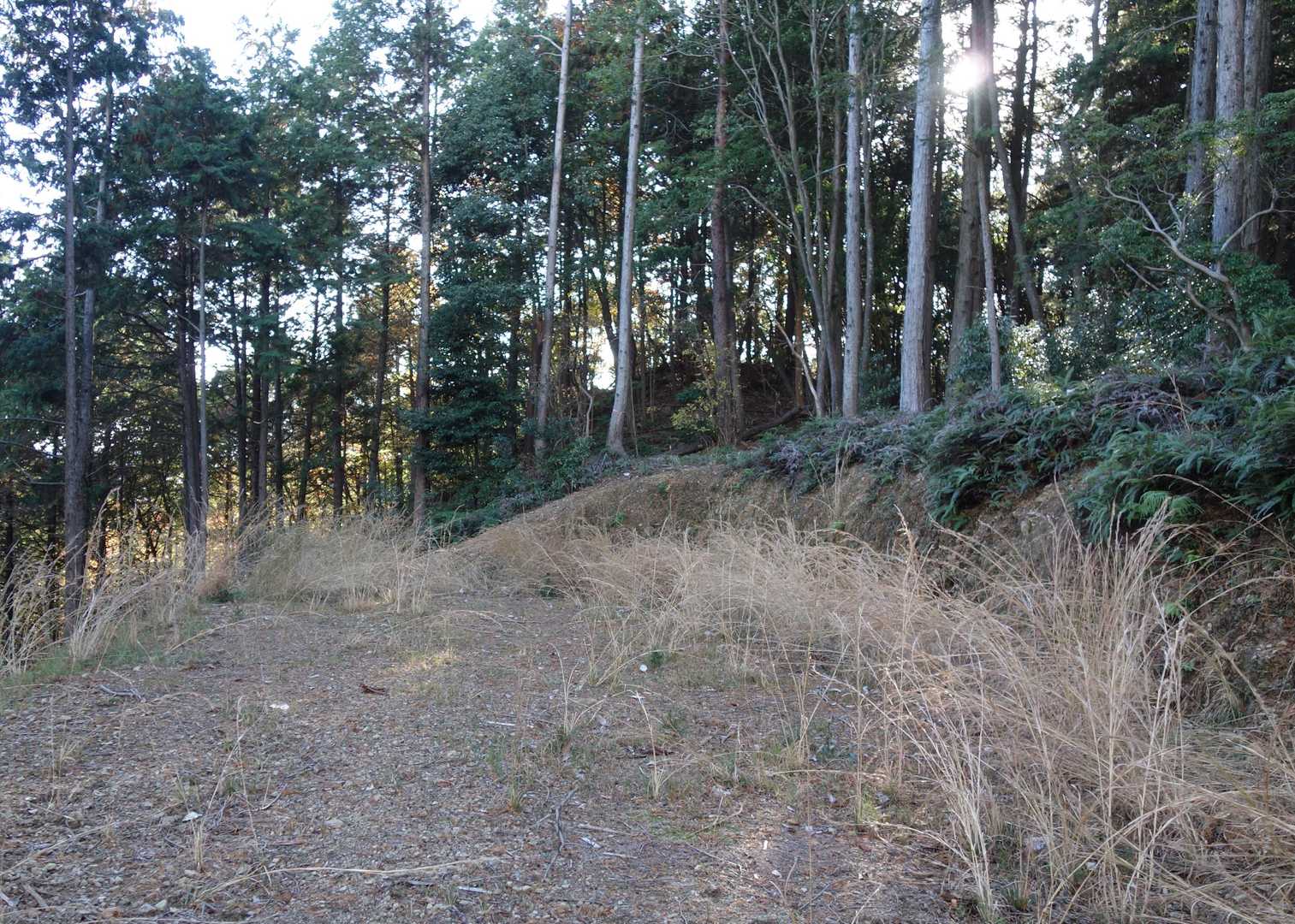 作業道終点。