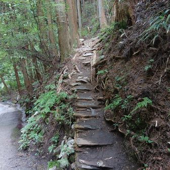 寺谷から登ります