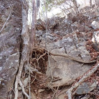 そしてこれも。
急な岩場はこれが最後。