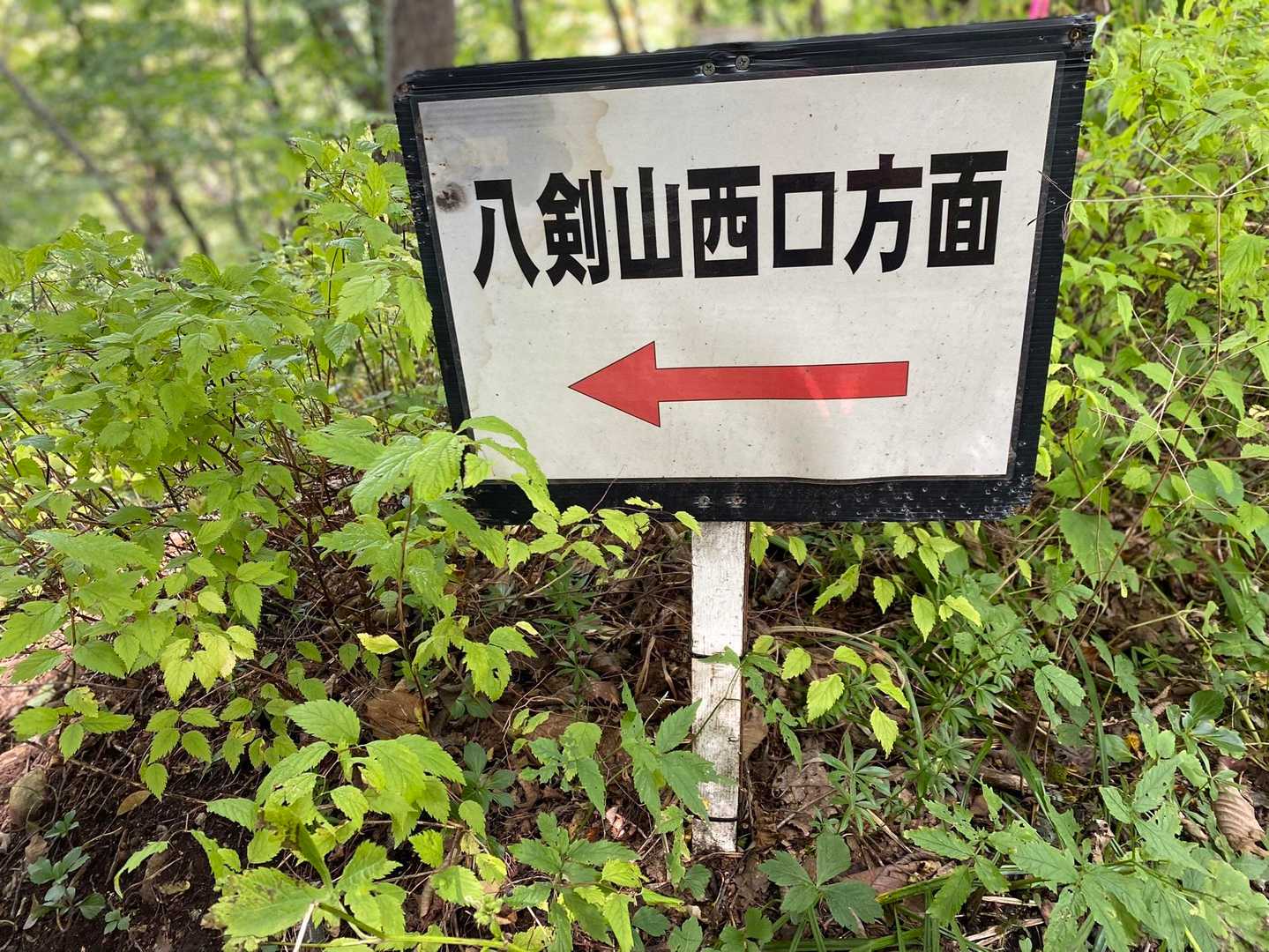 中央口登山口-観音岩山-西口登山口 縦走コースの写真
