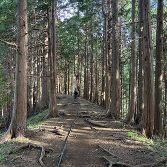 登っていると汗はかきますが、時折りヒンヤリとした風が吹き抜けて行きます。
気持ちの良い季節になってきましたね☺️