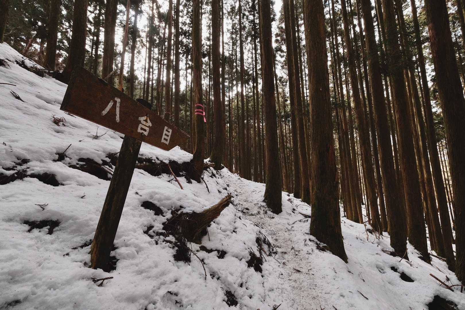 八合目からは少し雪の質が厄介そうな。
滑りやすい雪と滑りにくい雪があるんだよなぁ。