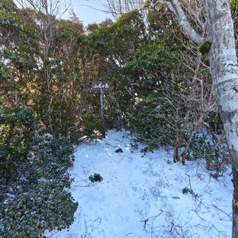 小屋ヶ森山頂到着⛰️