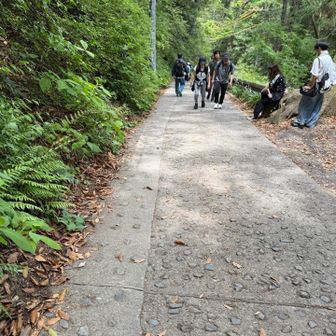 一号路を下山‼️
なかなかの傾斜💦
この傾斜を歩いて登らなくて良かった💦
これは登り大変かも💦