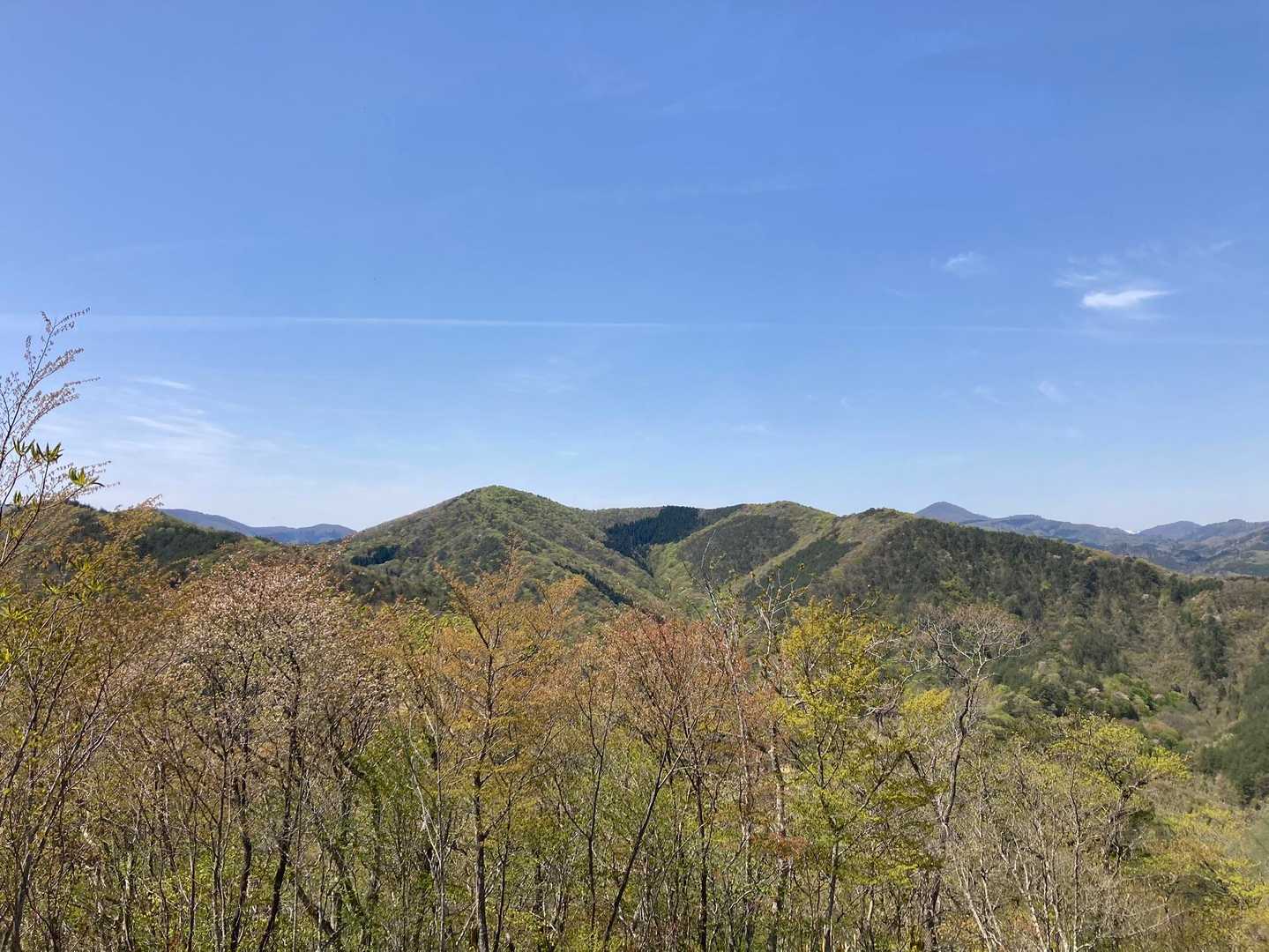 最高😀