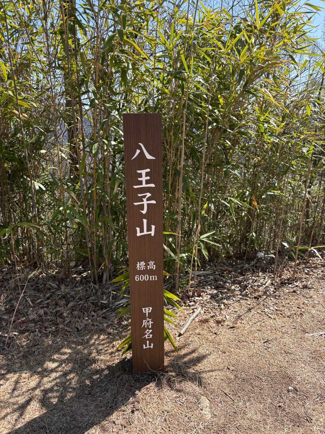 3座目着いた