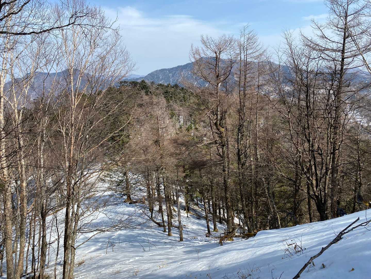 三ッ山から。
三ッドッケ、雲取山