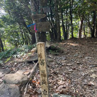 宮ヶ原山頂も木々の中だけど少し明るい🔆