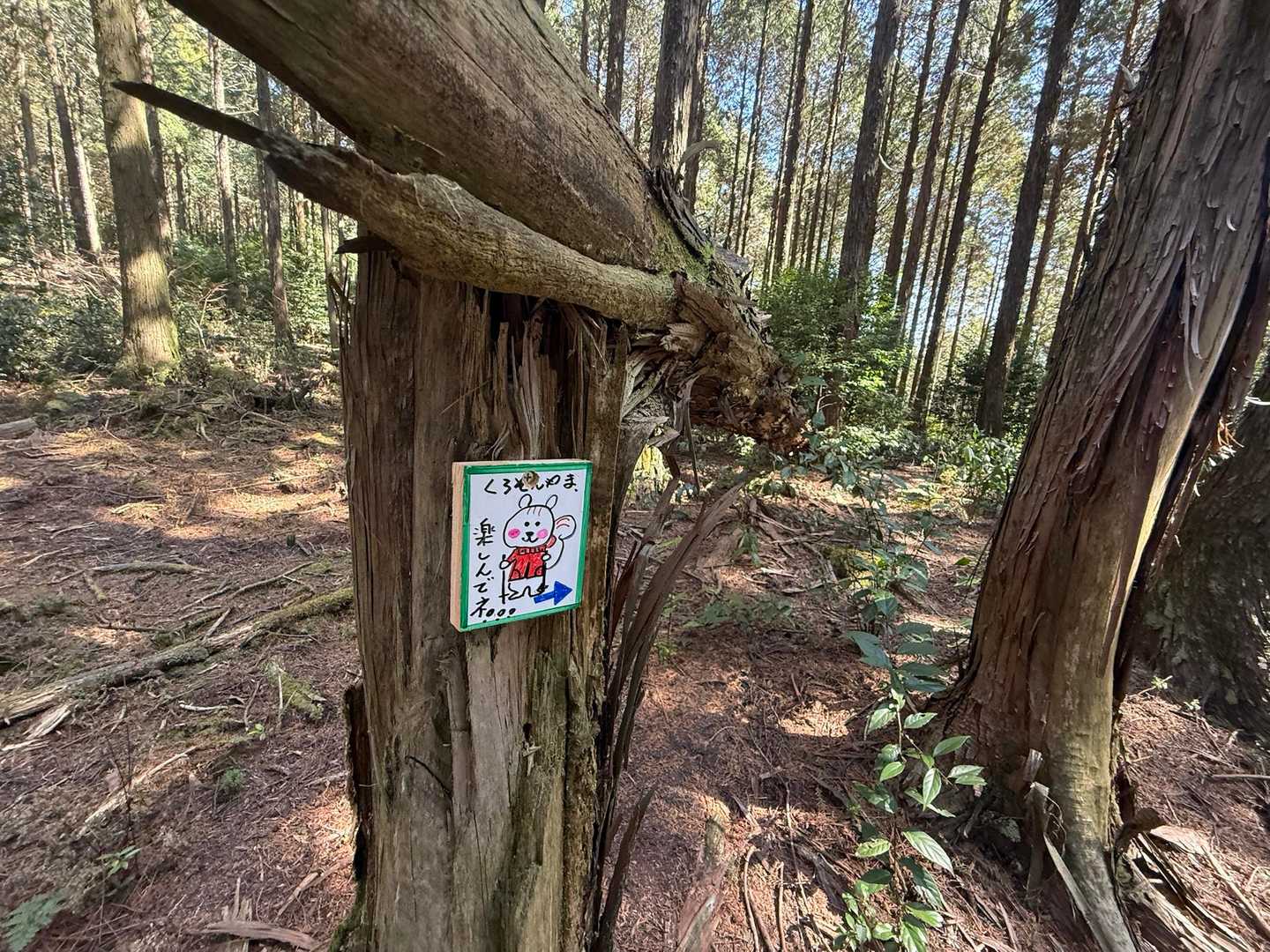リボンと。この標識のおかげでスムーズに進む
登りは急登あり。