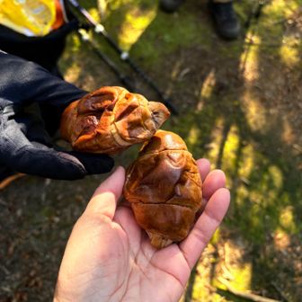 nanakoriさんから