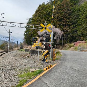 トイレは線路渡ったところにあります