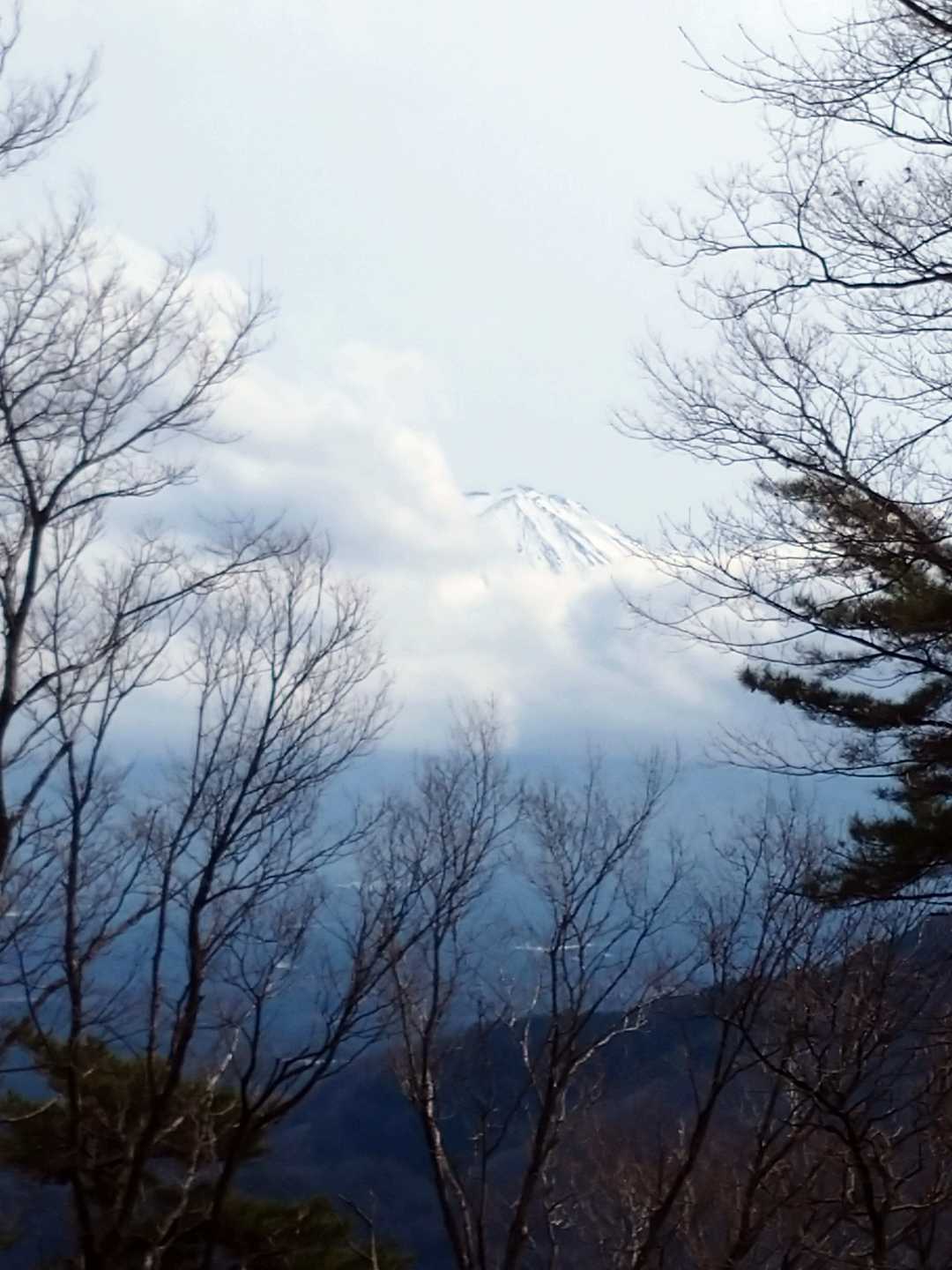 こちらの眺望も本日は残念です。
晴れていれば見事ですが...(泣)