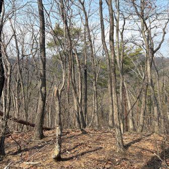 梅園山から金原山方面を望む。